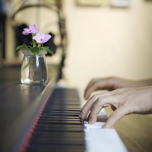 宜宾淋浴房厂家用小蛙营销导航
