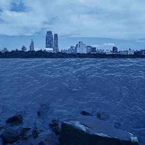 宜宾淋浴房厂家用小蛙营销导航
